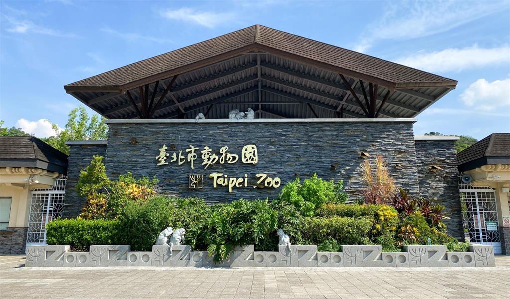 台北市立動物園解密為何園徽是梅花鹿。圖／台北市立動物園提供