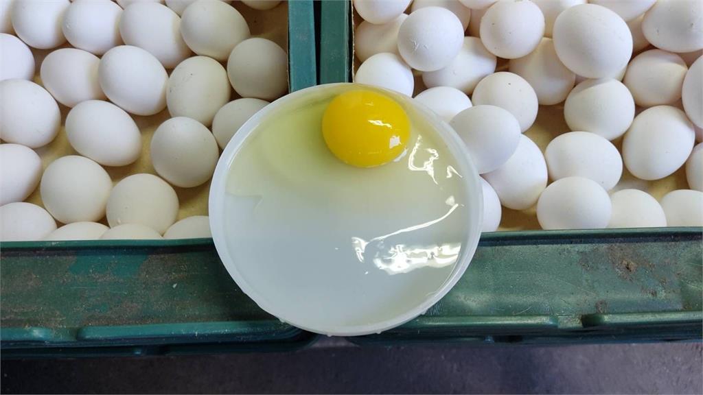 北市政府衛生局說明雜糧行生鮮蛋品查核結果。圖／台北市政府衛生局提供