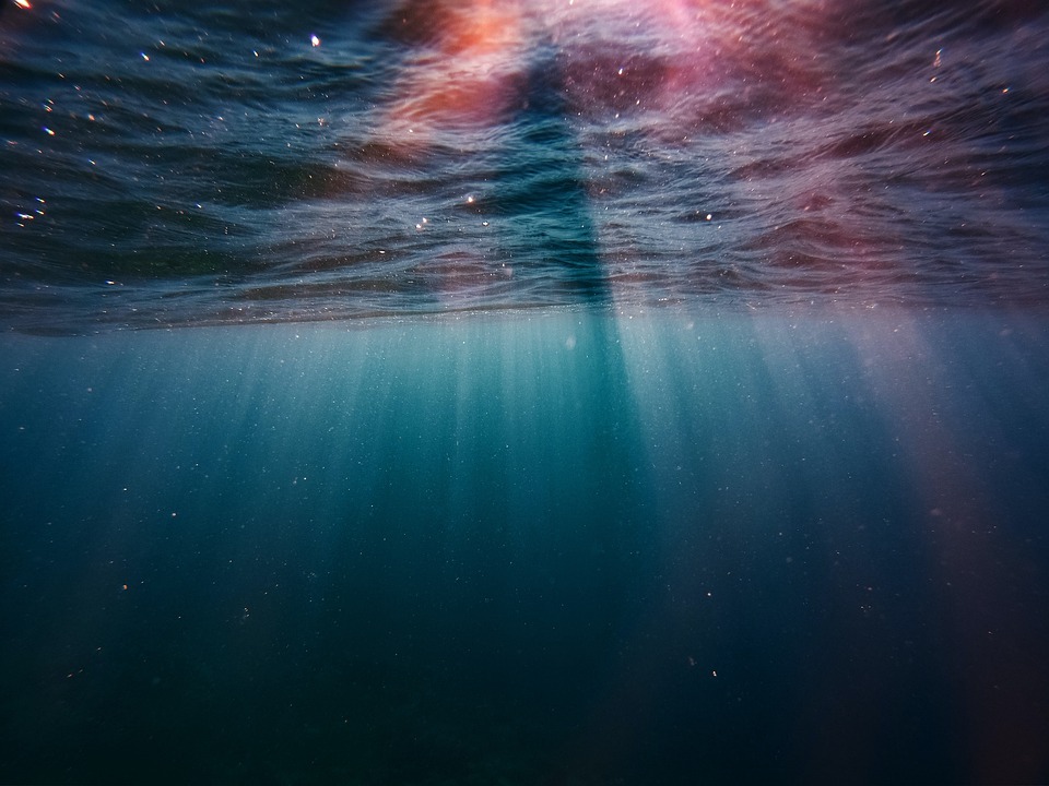 國外研究團隊發現生存在水下8334公尺的蝸牛魚（Snailfish）。示意圖／翻攝自免費圖庫Pixabay
