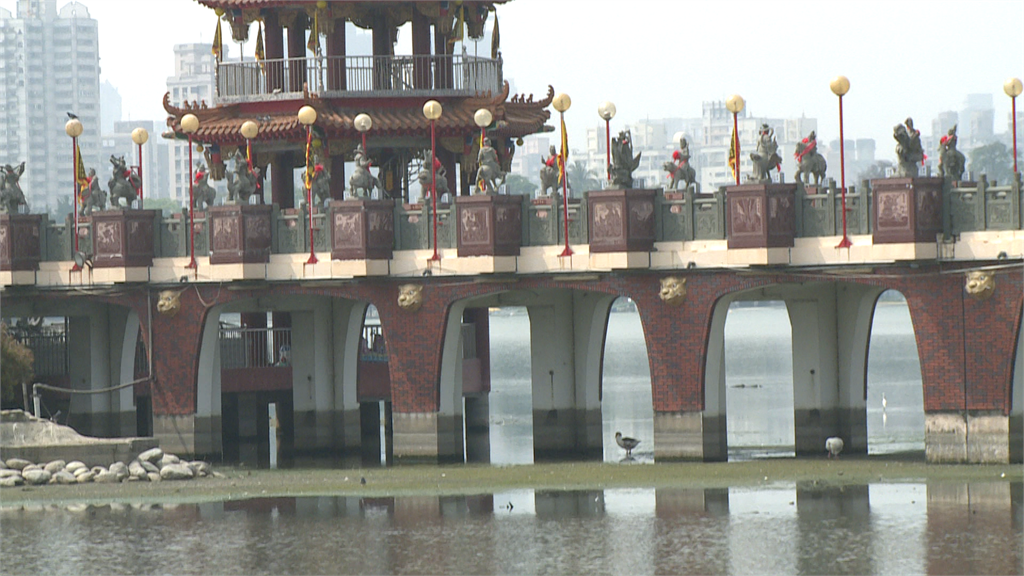 蓮池潭淺灘乾涸見底 湖底驚見鴨鵝覓食