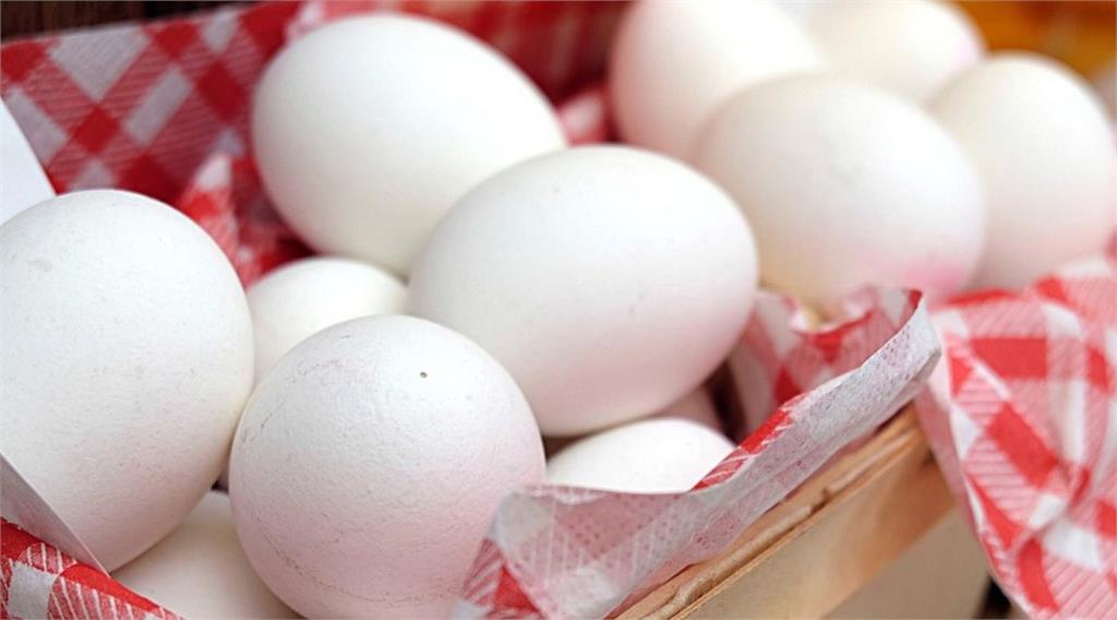美國出現蛋荒，讓美墨邊境雞蛋走私案暴增。示意圖／翻攝自Pixabay