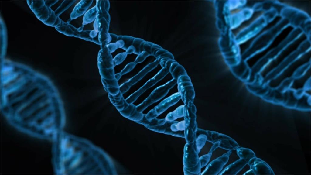 全世界最古老的DNA可以追溯到什麼時候？答案是200萬年前。圖／翻攝自Pixabay（示意圖）