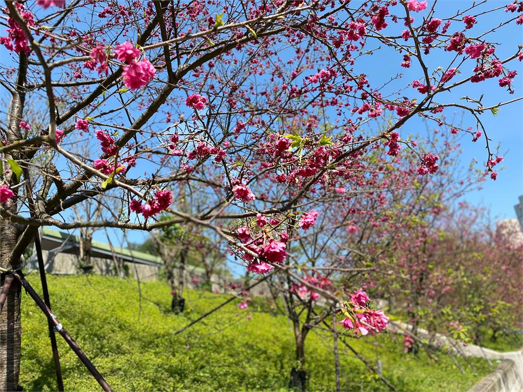 好天氣只到明天 週日起倒春寒 玉山有望降3月雪