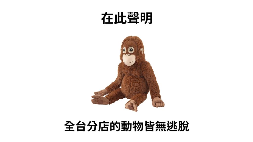 IKEA發出聲明確認動物數量。圖／翻攝自Facebook@IKEA.Taiwan