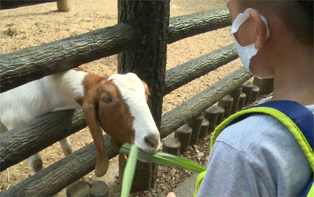 壽山動物園免門票入場 春節期間湧人潮