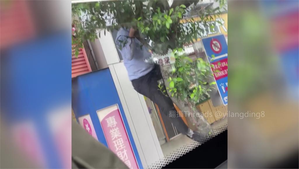 路樹太長了恐插破車玻璃...客運司機竟親自爬樹拆樹枝 路人嚇壞急勸阻