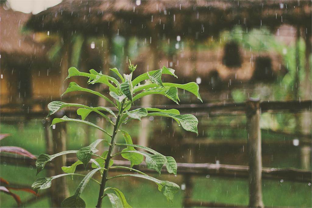 中央氣象局發布4縣市大雨特報，出門記得攜帶雨具。圖：翻攝自Unsplash（示意圖）