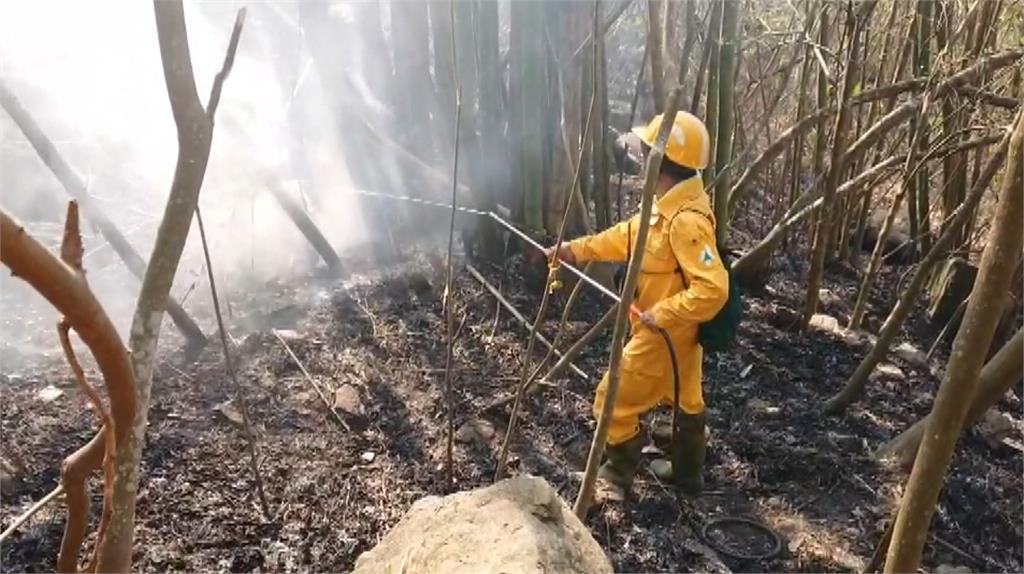 阿里山花季惡火延燒 爆發退房潮業者有苦難言