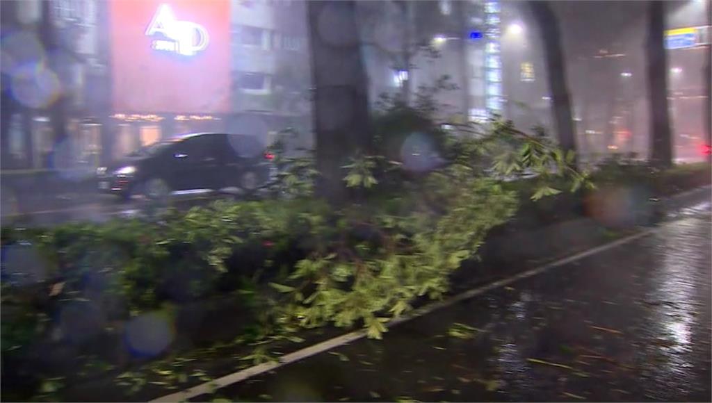 高雄風雨越晚越大！ 路樹傾倒、行人站不穩傘開花