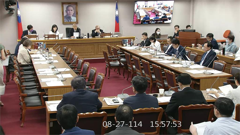 立院黨團協商韌性特別條例。圖／翻攝自立法院IVOD