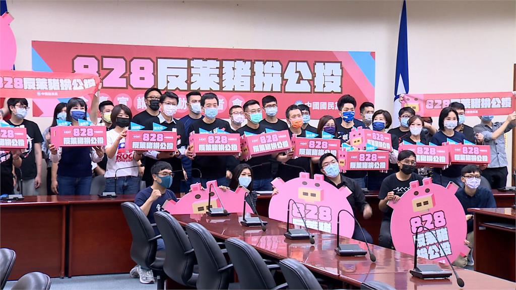 國民黨公投推動小組18日上午，宣布828公投宣講正式啟動。圖／台視新聞