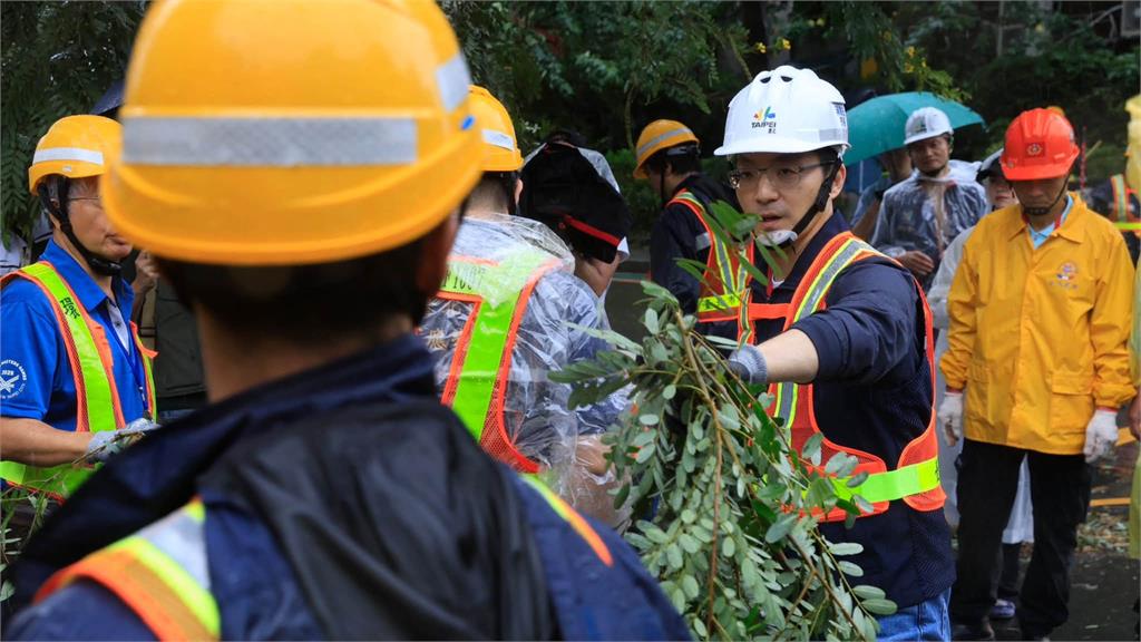 文山區路樹遭颱風吹斷 里長：輿論讓北市不敢修剪