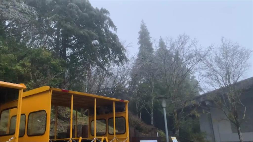 太平山國家森林遊樂園區在這波冷氣團沒有下雪。圖／台視新聞