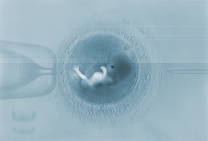 媽媽拼二胎更急？醫曝哺乳期試管迷思　建議「停乳一個月」更安全