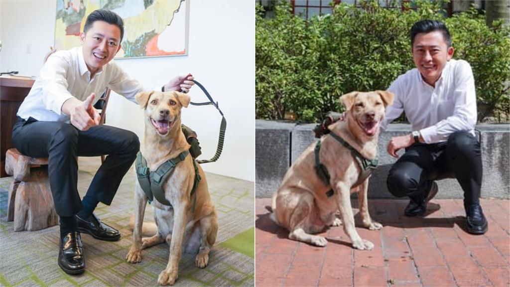 前新竹市市長林智堅任內認養流浪犬「棕棕」，並成為市犬。圖／翻攝自Facebook@新竹市東區區公所 