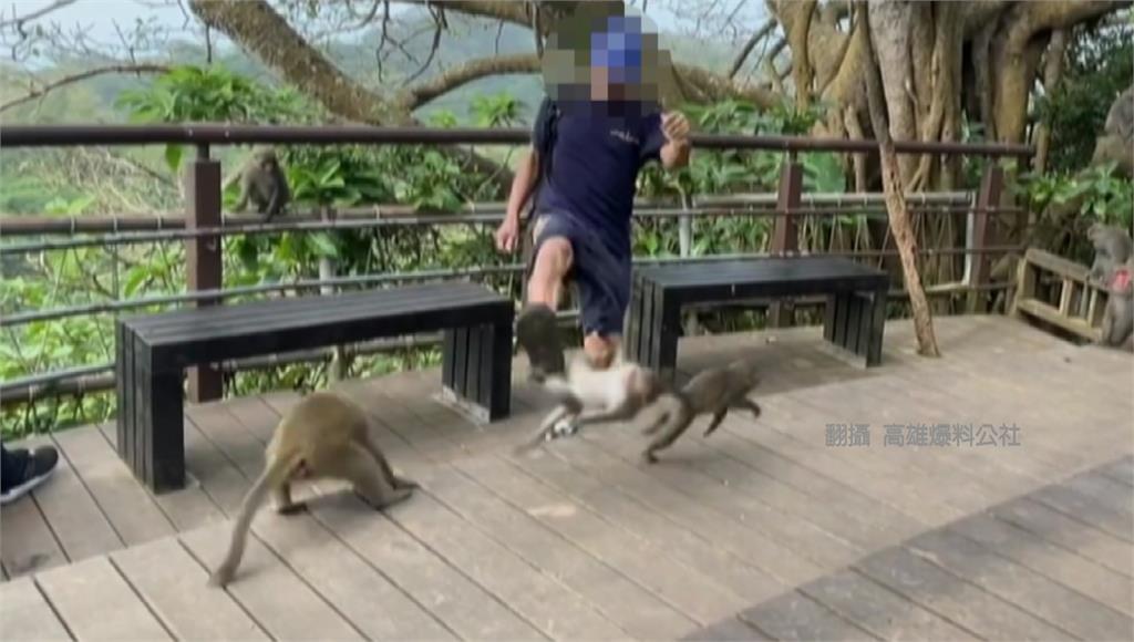 有登山客在猴子面前用餐，接著又用力出腳踹猴子。圖／翻攝自Facebook@高雄爆料公社