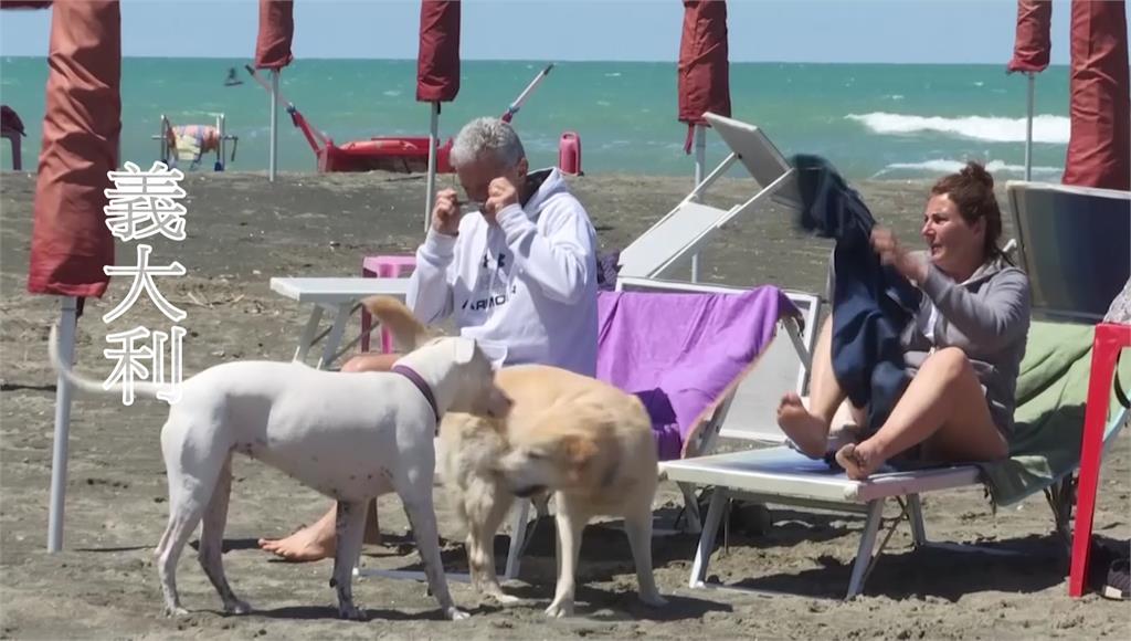 疫情趨緩，義大利政府重新開放海灘。圖／AP