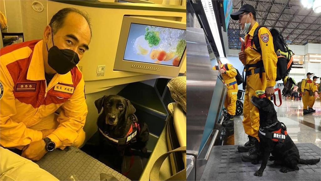 第二批搜救犬搭商務艙前往土耳其。圖／翻攝自Facebook@內政部 