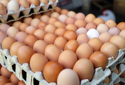 「洗選蛋vs.散裝蛋」哪種比較安全？ 專家揭關鍵差異