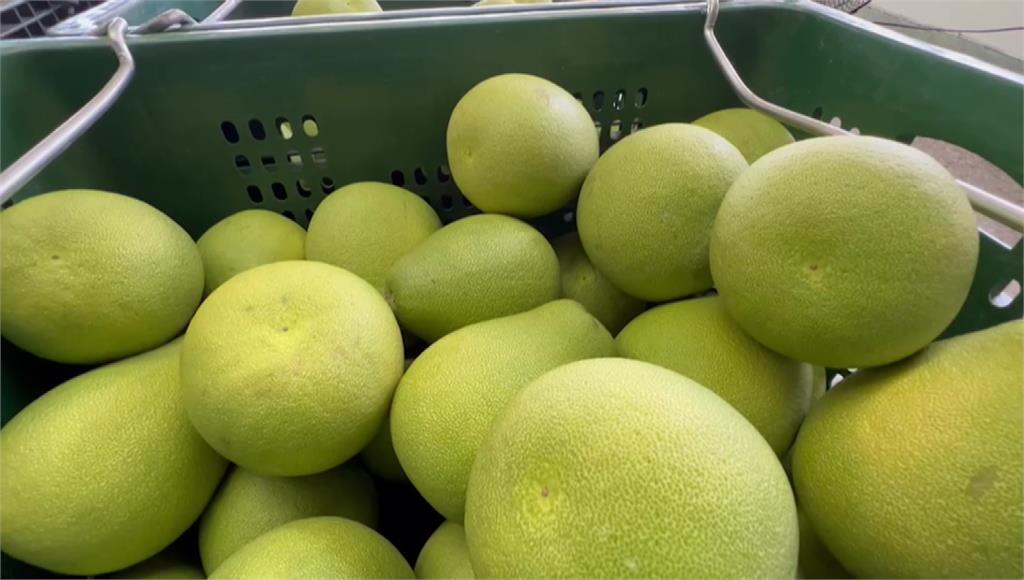 中國宣布禁台柑橘類。圖／台視新聞