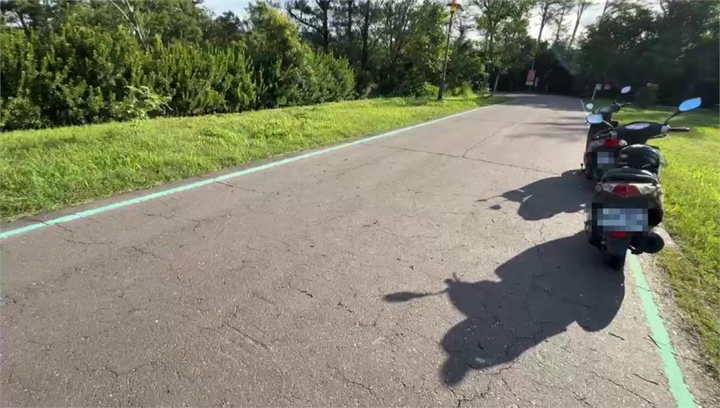 蚯蚓大軍湧現！民眾嚇壞憂是地震前兆 農業處回應了