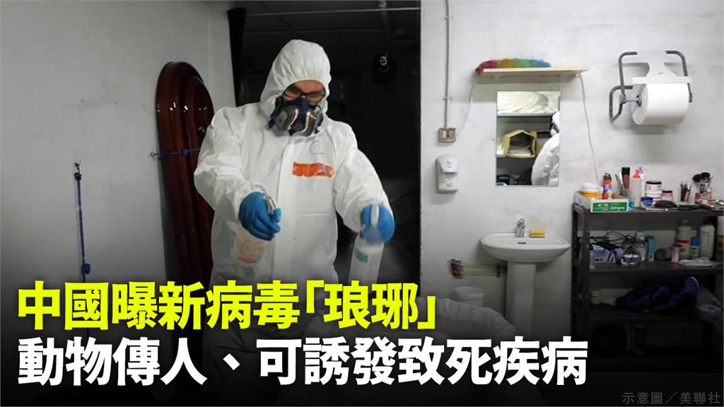 中國再發現新病毒「琅琊」、動物傳人。圖／美聯社