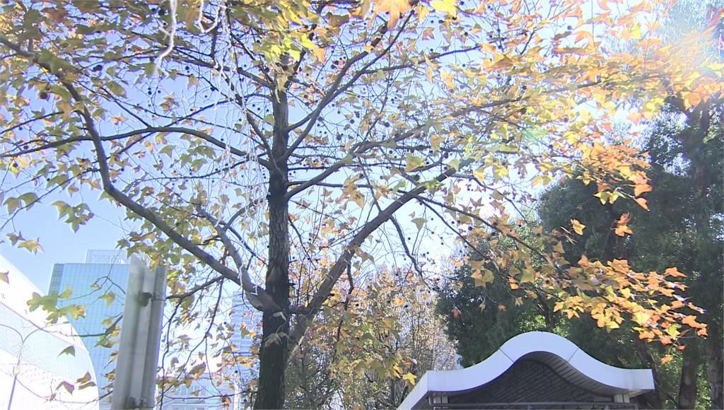 新竹關西7.5度！輻射冷卻早晚溫差大「南部飆30度」 週六再轉冷