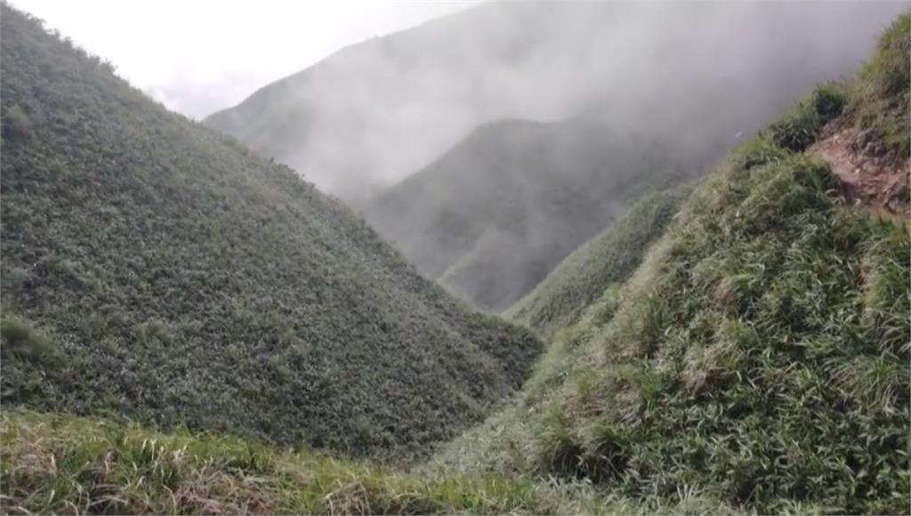 3個月前一名越南籍阮姓女子獨自攀登抹茶山，不料途中失蹤失聯，直到這個月8日才在15公里外的溪谷被人發現遺體。圖／台視新聞