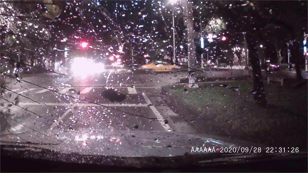 駕駛等紅燈無辜遭路樹砸愛車。圖：台視新聞