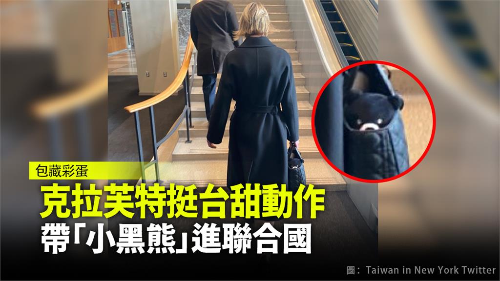 克拉芙特攜帶台灣黑熊布偶進入聯合國會議。圖：翻攝自Taiwan in New York推特