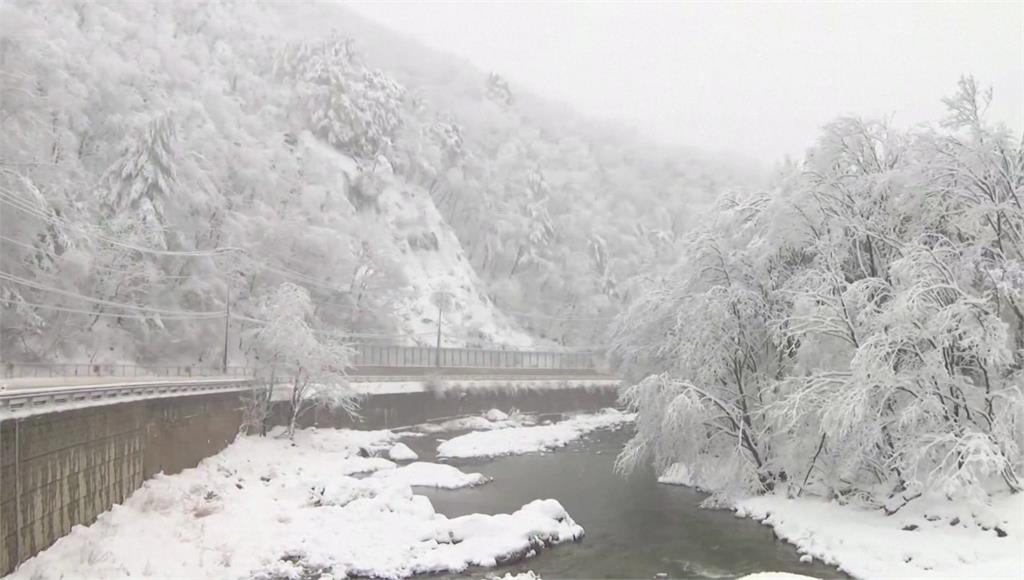 南韓下起暴雪，還有超強冷氣團將襲來。圖／路透社