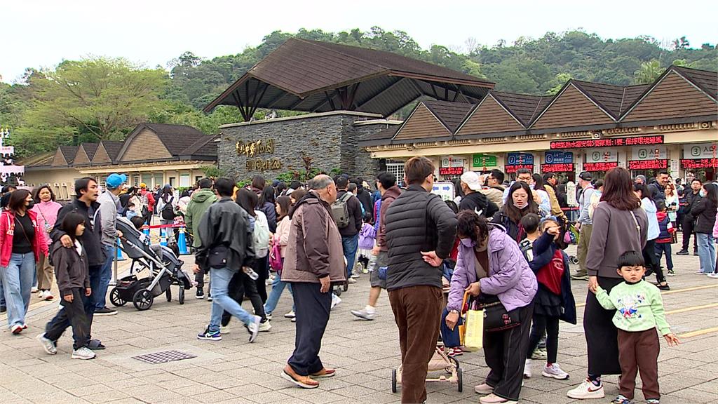 初三走春！台北動物園人潮爆 排隊領限量馬年開運金