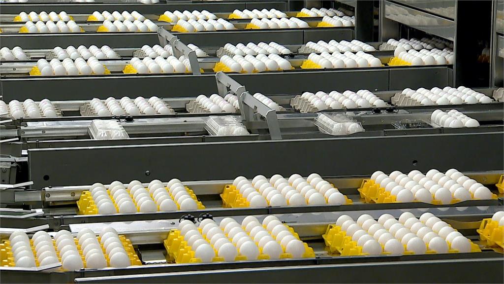 台北市蛋商公會證實，明天起雞蛋要再漲2元。圖／台視新聞