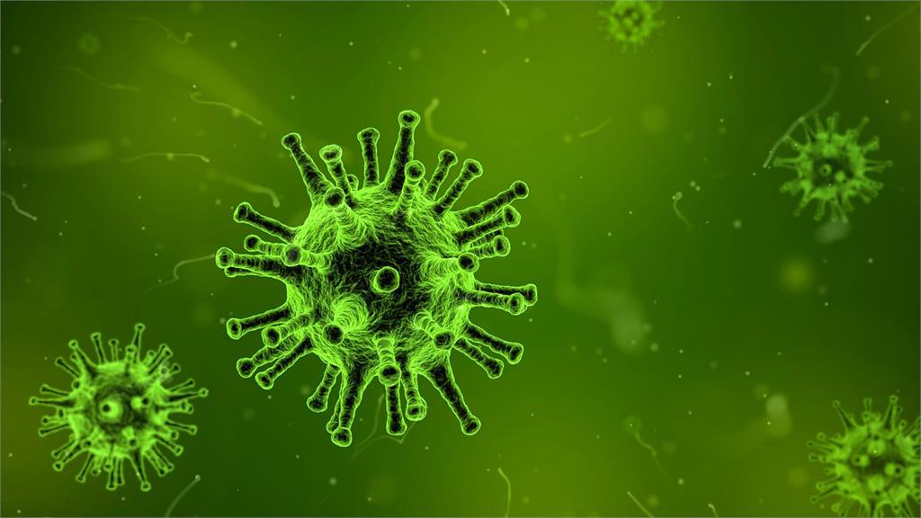 澳洲衛生官員表示，近距離接觸確診者5到10秒，就有機會染上Delta變種病毒。圖／翻攝自Pixabay