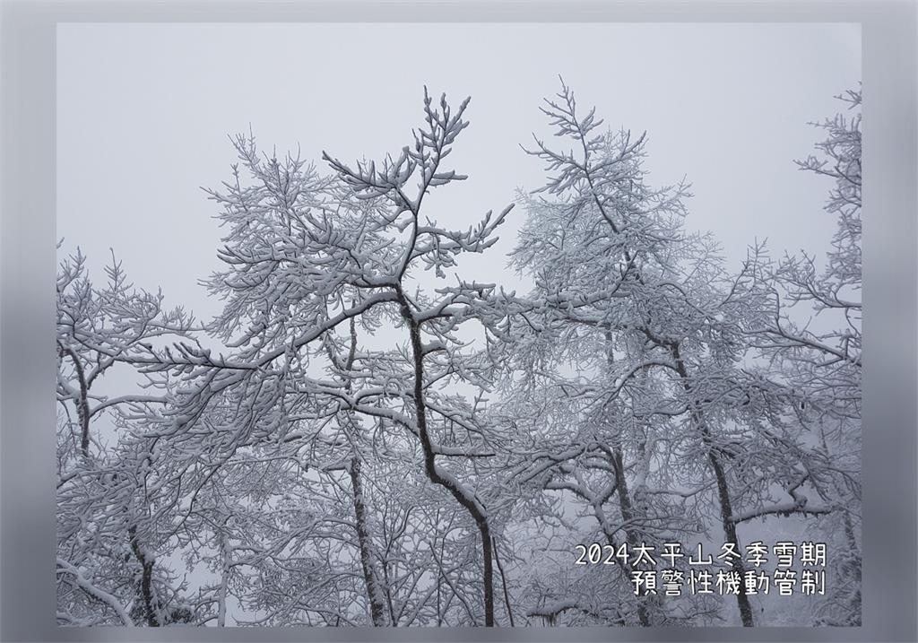 因應降雪，宜蘭太平山將實施預警性機動管制措施。圖／林業及自然保育署宜蘭分署提供