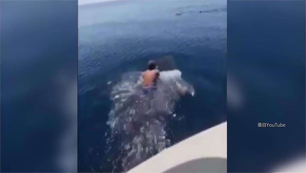男子騎上鯨鯊背鰭，恐涉傷害動物。圖：翻攝自YouTube