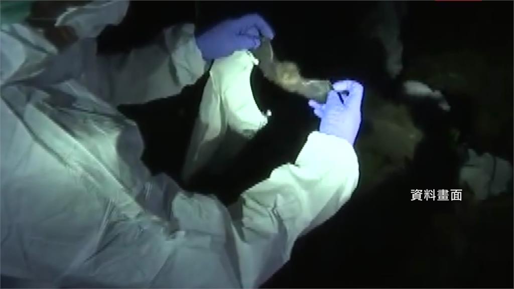 致死率58%！印度爆發「立百病毒」 疾管署預告列第5類法定傳染病