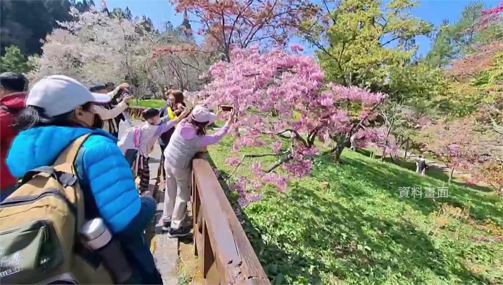 春節國旅開紅盤！日均73萬人出遊成長109% 「這天」創春節最高峰