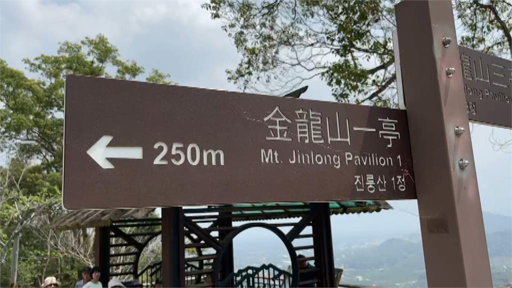 護理師爬金龍山 遭雙煞洗劫丟包山區