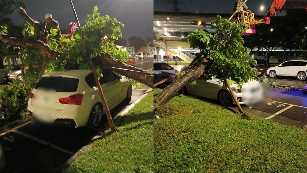 巴威9級強風吹倒路樹砸停放轎車！車主質疑北市府防颱不足