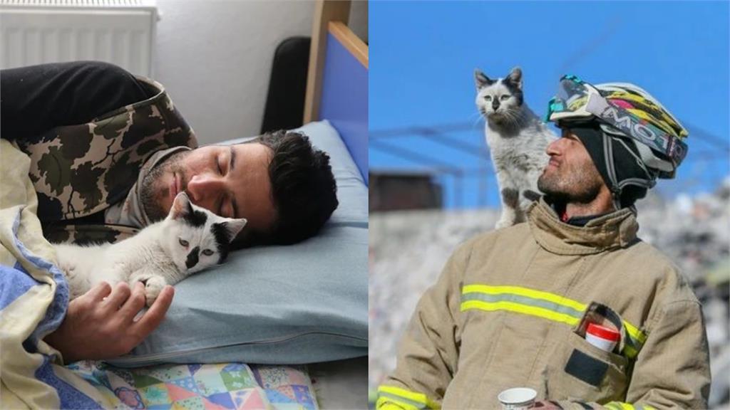消防員把瓦礫堆中救出的貓帶回家養。圖／翻攝自Instagram@jcaks_1