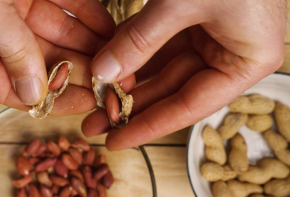 每天吃兩把「這1種堅果」血流變好、記憶力也提升！ 帶皮吃效果更好