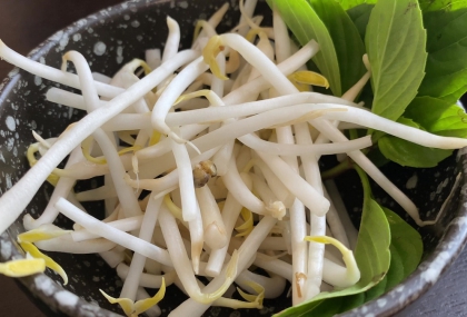 豆芽菜買回家總是壞很快？專家曝「保存妙招」保鮮又保脆 