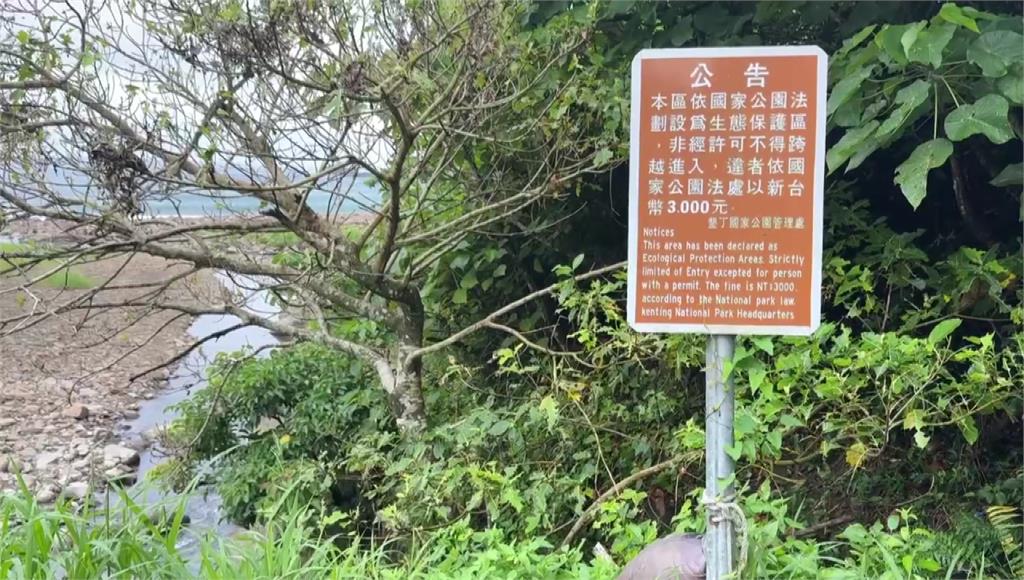協會淨灘活動提前探勘 3人在墾丁國家公園遭虎頭蜂圍攻2死1傷