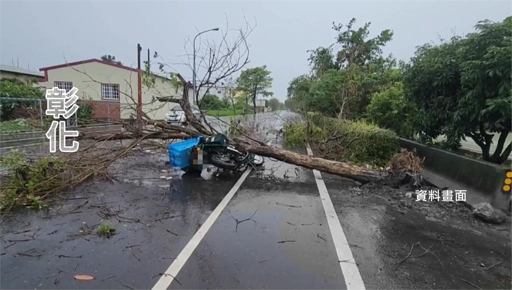 郵差送信遭路樹砸不治！國賠判146萬家屬不滿：一個人難道只值這樣