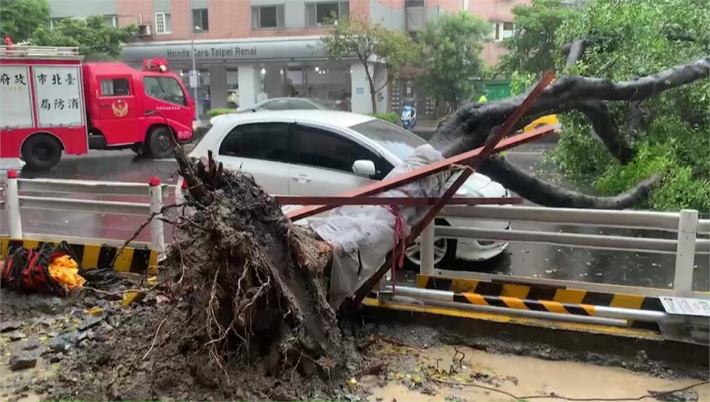 影／風雨來了！北市基隆路「大樹倒塌」 路過轎車遭...