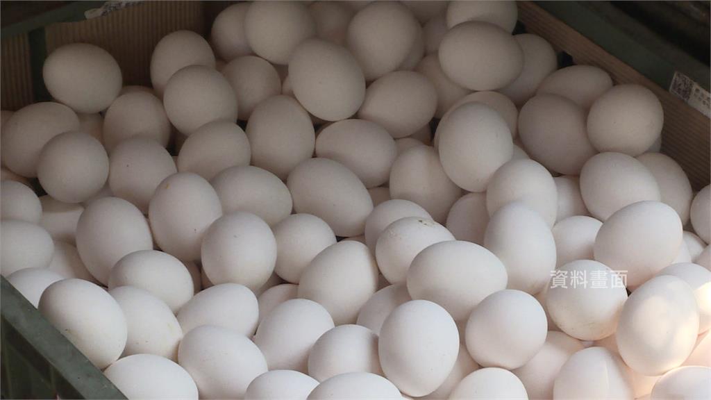 農業部公開進口雞蛋冷鏈流向。圖／台視新聞（資料畫面）
