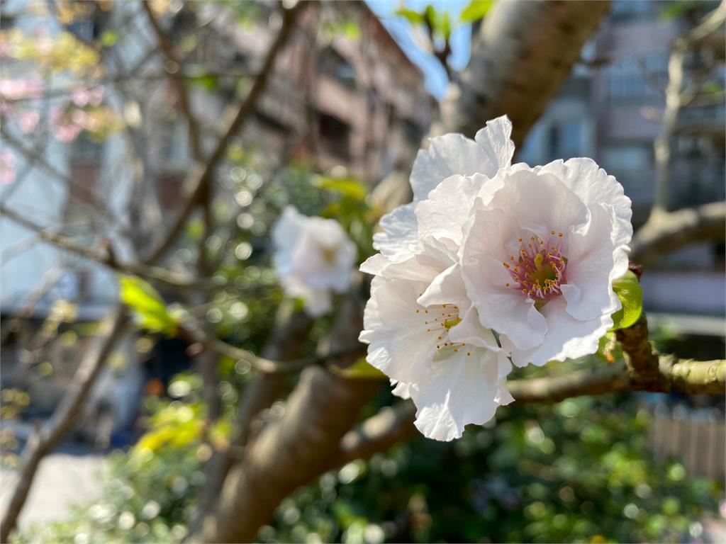 北台灣明顯回溫 各地早晚偏涼 明傍晚變天