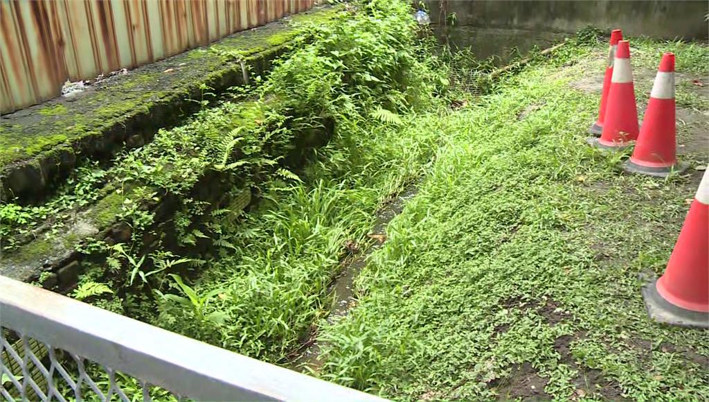 新莊驚悚箱屍命案！居民透露「7/24在橋下就看見...
