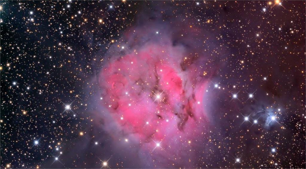 有「康乃馨星雲」之稱的IC 5146，外型如同康乃馨。圖／天文館提供